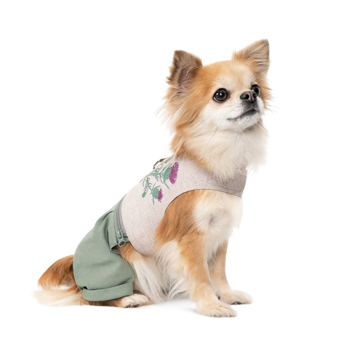 Шлея-костюм для собаки Pet Fashion Patrik, XXS, світло-сірий