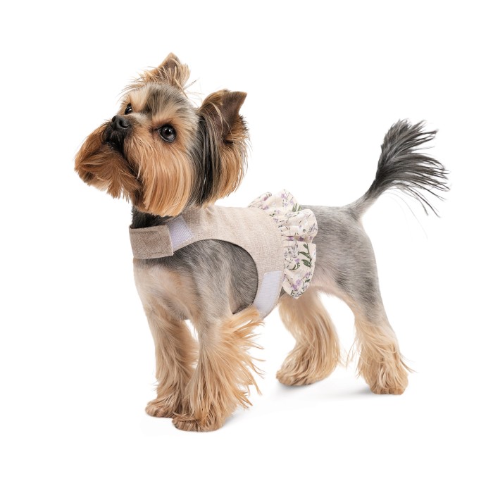Шлея для собак Pet Fashion Nika, XS2, для девочки, светло-серый