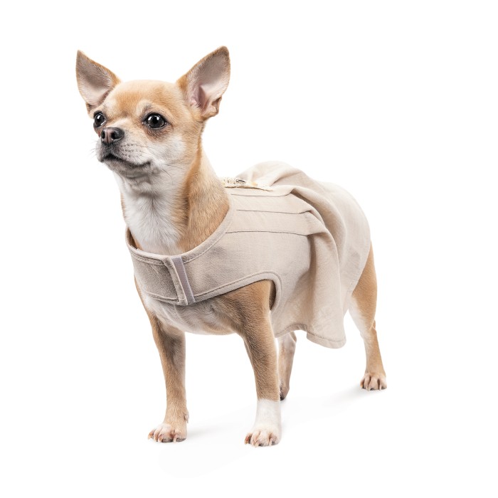 Сарафан для собак Pet Fashion Miya, S, светло-серый