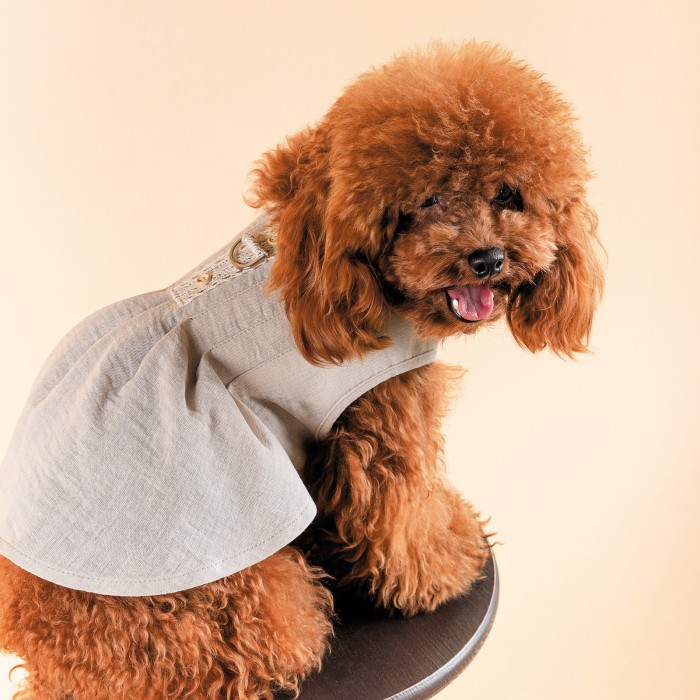 Сарафан для собак Pet Fashion Miya, XS, светло-серый