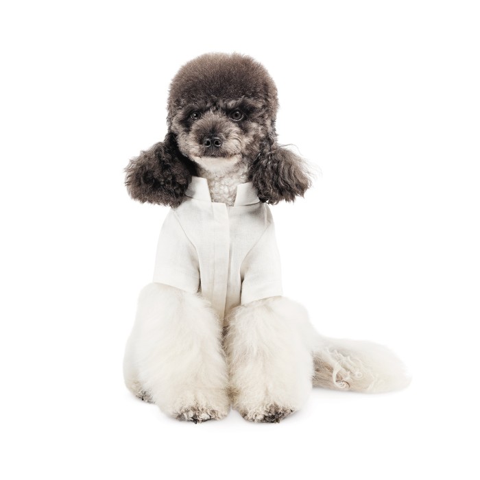 Вишиванка парна Pet Fashion Ostap S хлопчик