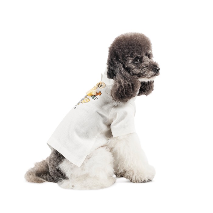 Вишиванка парна Pet Fashion Ostap S хлопчик