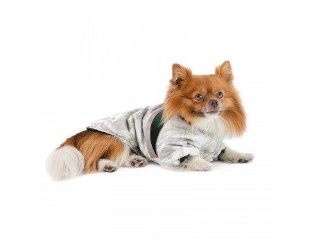 Куртка для собак Bony Pet Fashion, ХS білий, зелений