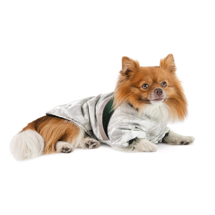 Куртка для собак Bony Pet Fashion,  S білий, зелений