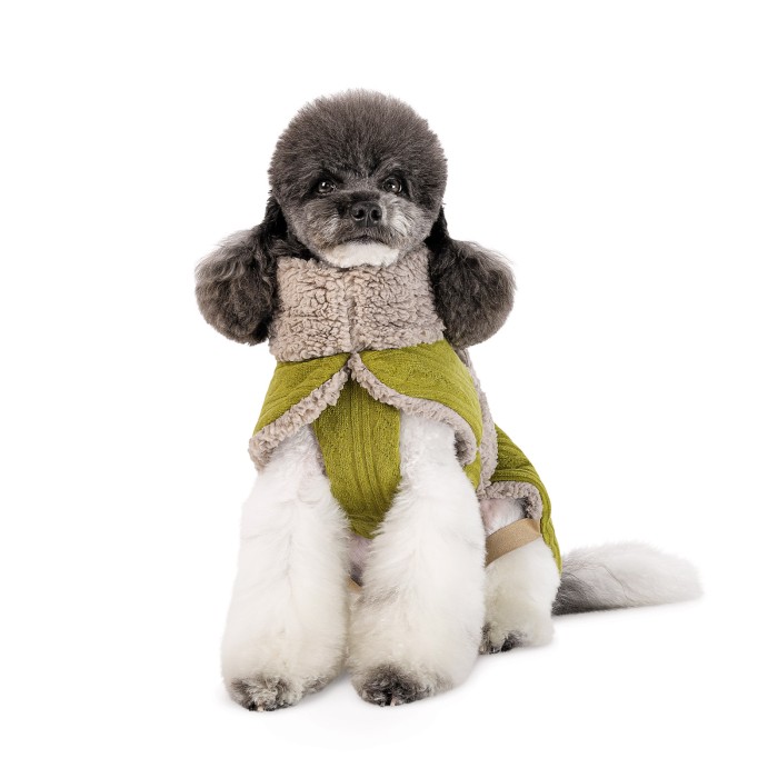 Попона для собак Gigi Pet Fashion, L фісташковий, бежевий