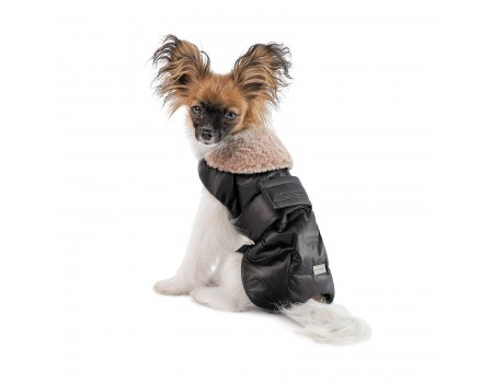 Попона Pet Fashion Ted для собак чорний/сірий XS-2