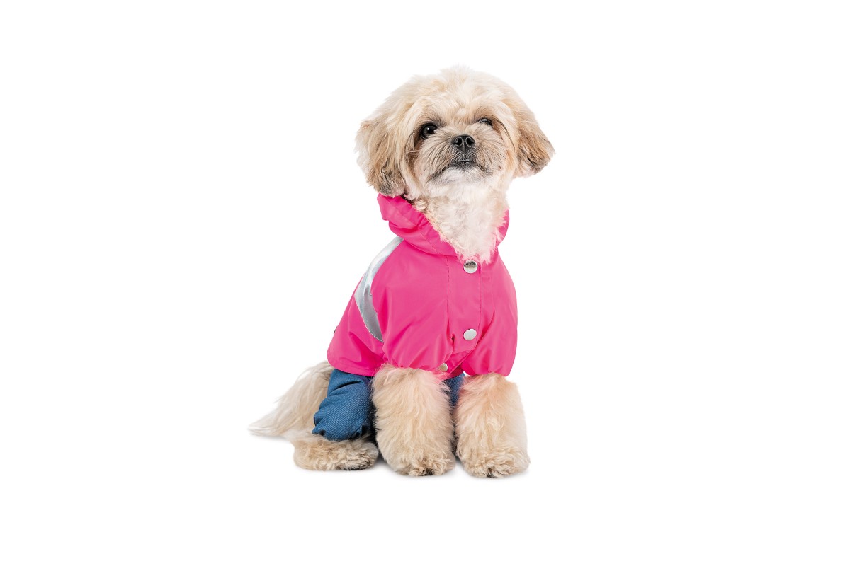 Дощовик Betty S Pet Fashion для собак дівчинка ᐉ купити в Дніпрі