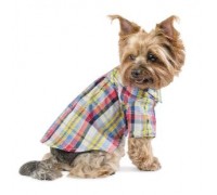 Рубашка «Бадди» Одежда для собак, S..