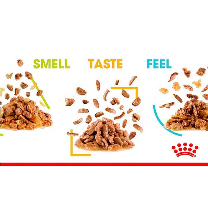Вологий корм Royal Canin Sensory Multi-Pack Feel, Taste, Smell, для стимуляції смакових рецепторів котів, м'ясо та риба, мультипак 3х4х85 г
