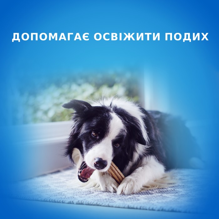 Ласощі DENTALIFE Medium для дорослих собак середніх порід для здоров'я зубів і ясен 115 г
