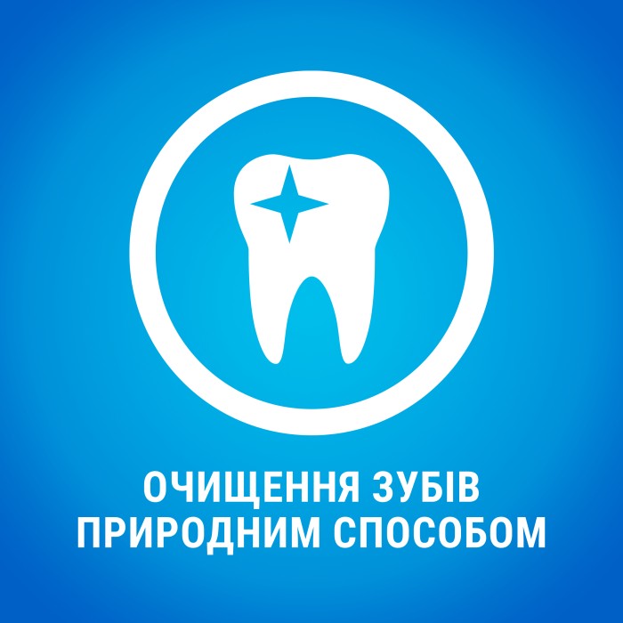 Ласощі DENTALIFE Small для дорослих собак дрібних порід для здоров'я зубів і ясен 115 г