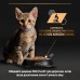 Вологий корм PRO PLAN Kitten Healthy Start для кошенят мус з куркою 85 г  - фото 6