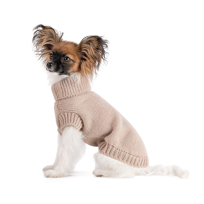 Светр Sam Pet Fashion для собак, розмір S бежевий