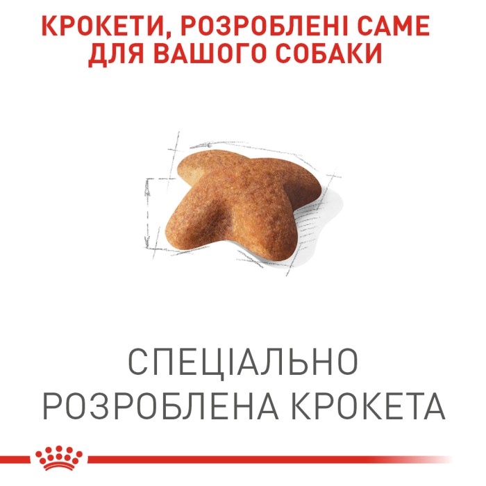 Сухий повнорационний корм Royal Canin Beagle Adult - сухий корм для біглів від 12 міс. 3 кг