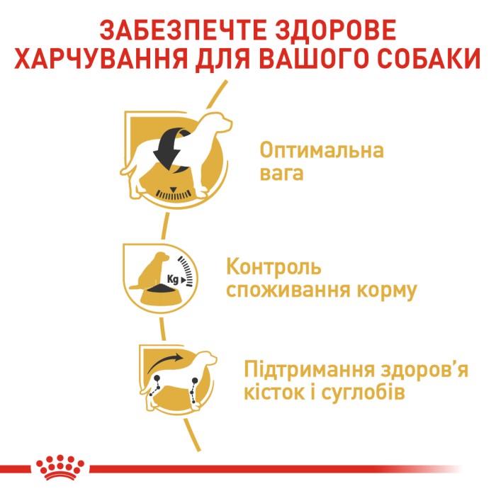 Сухий повнорационний корм Royal Canin Beagle Adult - сухий корм для біглів від 12 міс. 3 кг