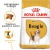 Сухий повнорационний корм Royal Canin Beagle Adult - сухий корм для біглів від 12 міс. 3 кг  - фото 4