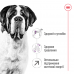 Royal Canin Giant Adult для собак старше 18/24 місяців 12+3 кг  - фото 2