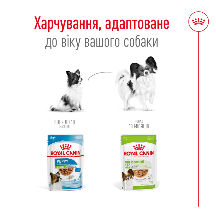 Вологий корм Royal Canin XSMALL ADULT, для дорослих собак дрібних порід, 0.085 кг