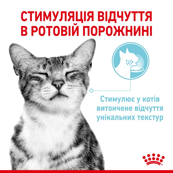 Вологий корм для дорослих котів ROYAL CANIN SENSORY FEEL GRAVY 0.085 кг