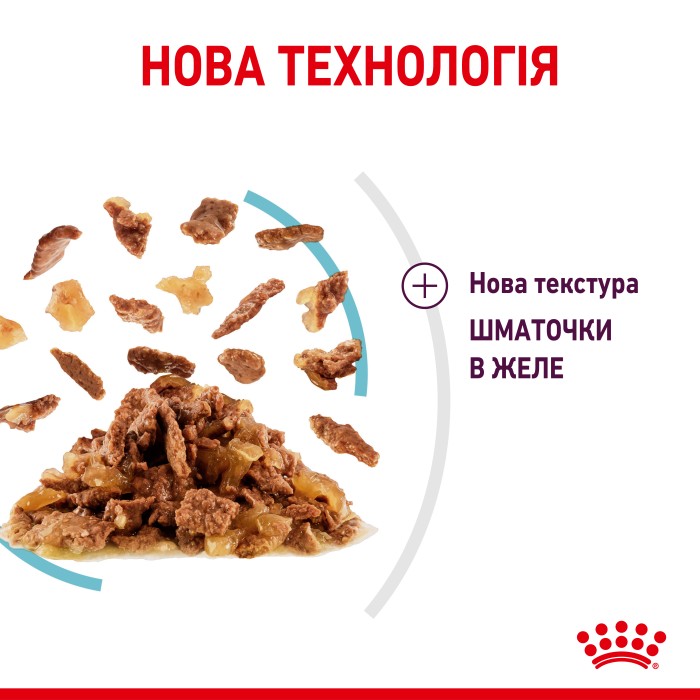 Вологий корм для дорослих котів ROYAL CANIN SENSORY FEEL JELLY 0.085 кг