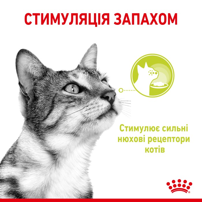 Вологий корм для дорослих котів ROYAL CANIN SENSORY SMELL GRAVY 0.085 кг