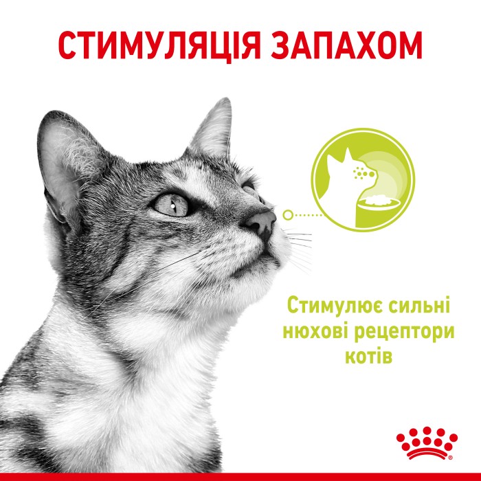 Вологий корм для дорослих котів ROYAL CANIN SENSORY SMELL JELLY 0.085 кг