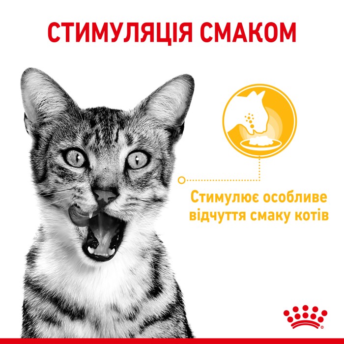 Вологий корм для дорослих котів ROYAL CANIN SENSORY TASTE GRAVY 0.085 кг
