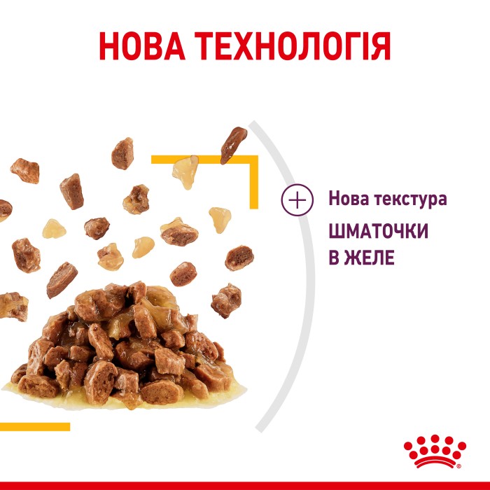 Влажный корм для взрослых кошек ROYAL CANIN SENSORY TASTE JELLY 0.085 кг*