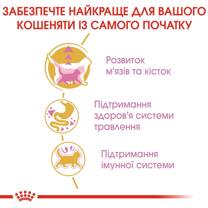Корм для кошенят ROYAL CANIN KITTEN BRITISH SHORTHAIR 0.4 кг