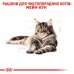 Корм для взрослых кошек ROYAL CANIN MAINECOON ADULT 10 кг+2 кг  - фото 3