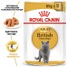 Влажный корм для взрослых кошек ROYAL CANIN BRITISH SHORTHAIR ADULT 0.085 кг  - фото 2