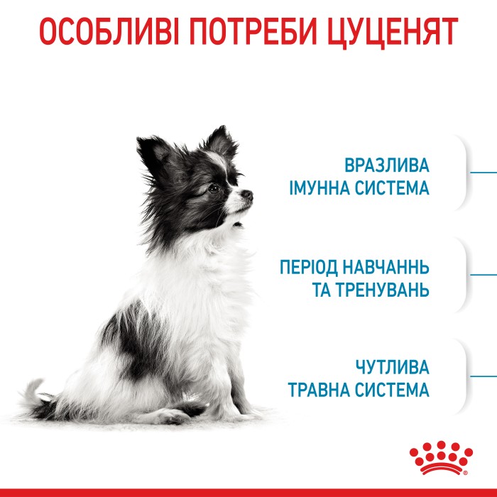 Корм для цуценят ROYAL CANIN XSMALL PUPPY 0.5 кг