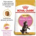 Корм для котят ROYAL CANIN MAINECOON KITTEN 0.4 кг  - фото 2