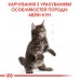 Корм для котят ROYAL CANIN MAINECOON KITTEN 0.4 кг  - фото 6