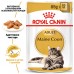Влажный корм для взрослых кошек ROYAL CANIN MAINECOON ADULT 0.085 кг  - фото 2