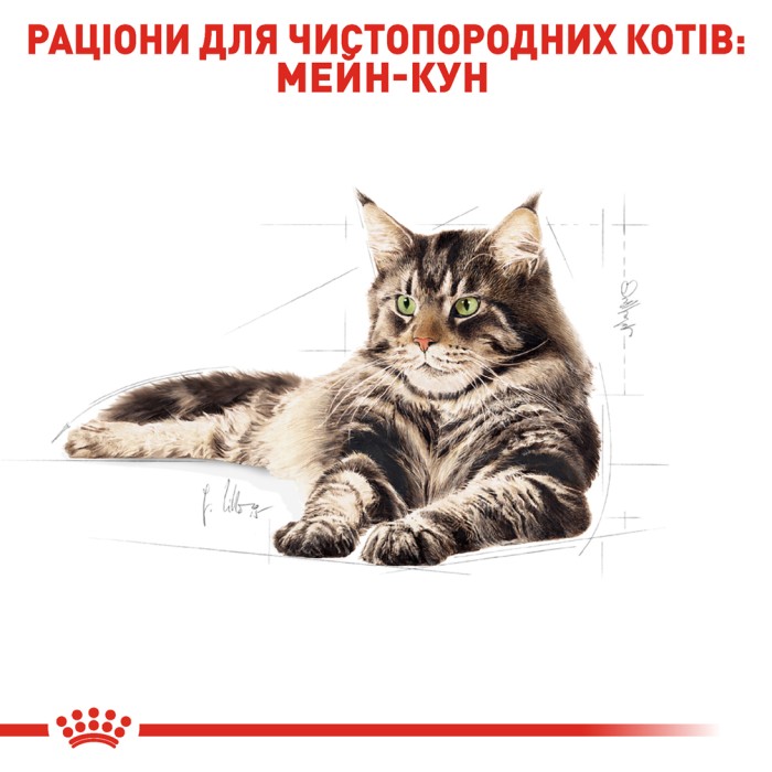 Вологий корм для дорослих котів ROYAL CANIN MAINECOON ADULT 0.085 кг