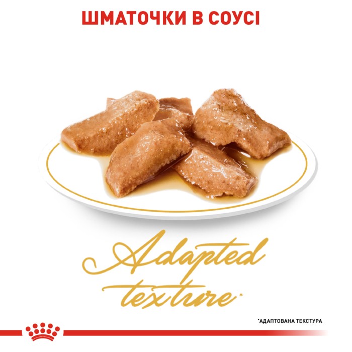 Вологий корм для дорослих котів ROYAL CANIN MAINECOON ADULT 0.085 кг