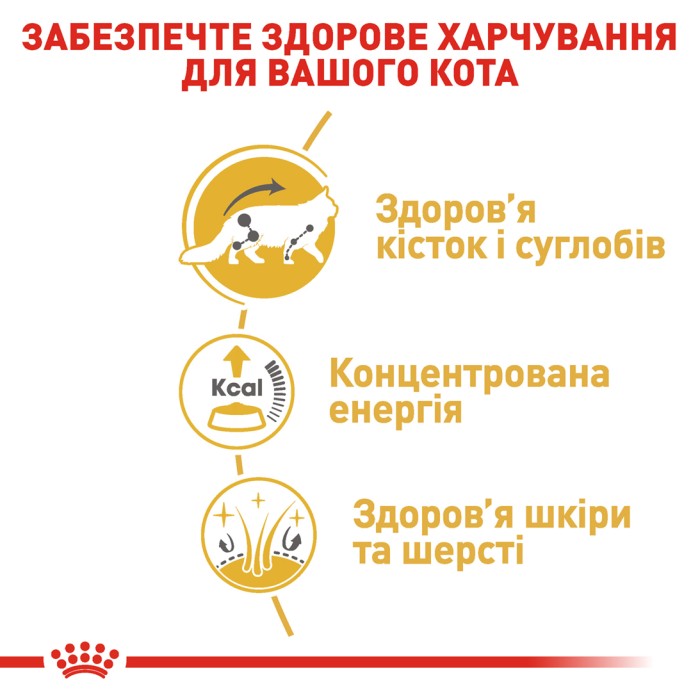 Вологий корм для дорослих котів ROYAL CANIN MAINECOON ADULT 0.085 кг
