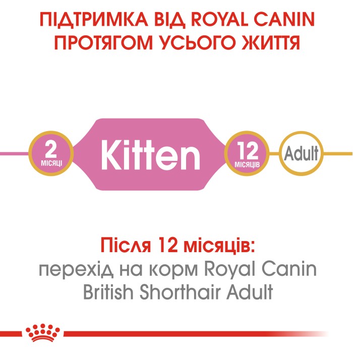Корм для котят ROYAL CANIN KITTEN BRITISH SHORTHAIR 10.0 кг
