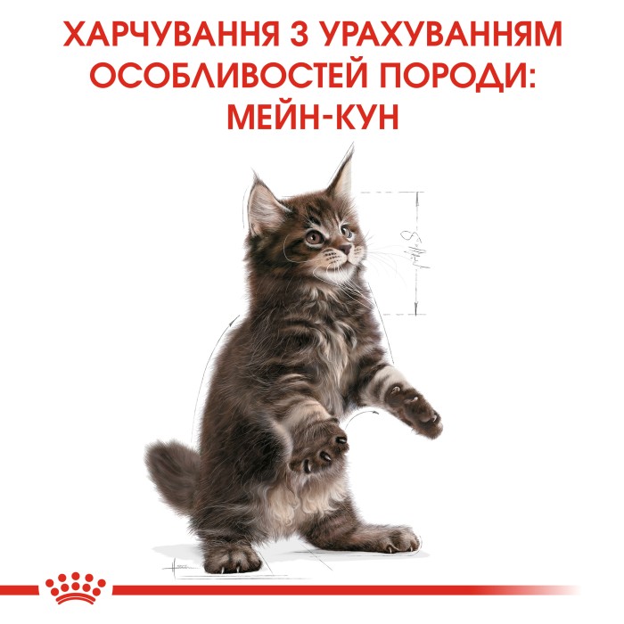 Корм для кошенят ROYAL CANIN MAINECOON KITTEN 2.0 кг