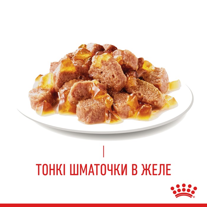 Влажный корм для взрослых кошек ROYAL CANIN HAIR & SKIN CARE IN JELLY 0.085 кг