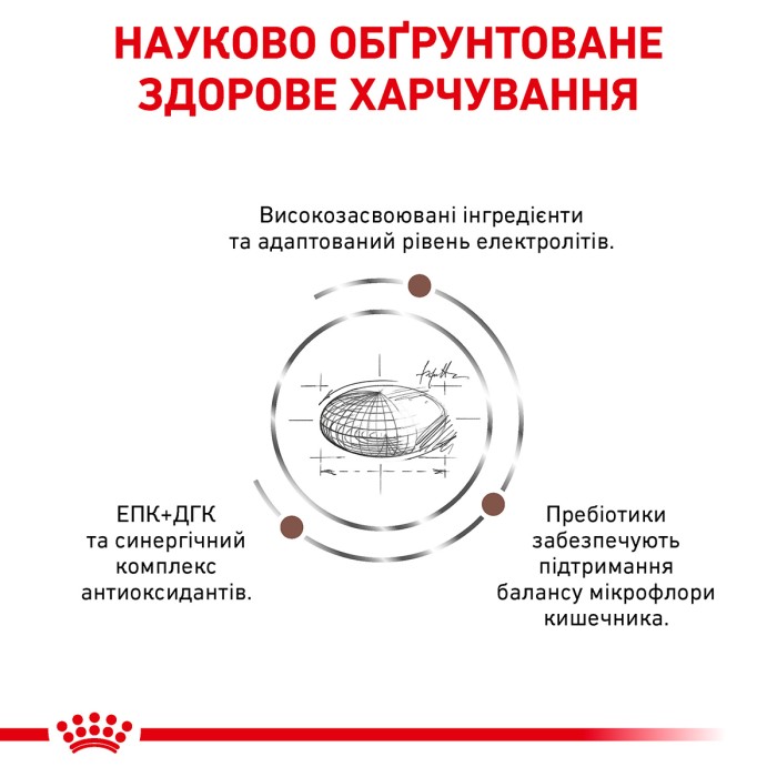 Корм для дорослих собак ROYAL CANIN GASTRO INTESTINAL DOG 15.0 кг