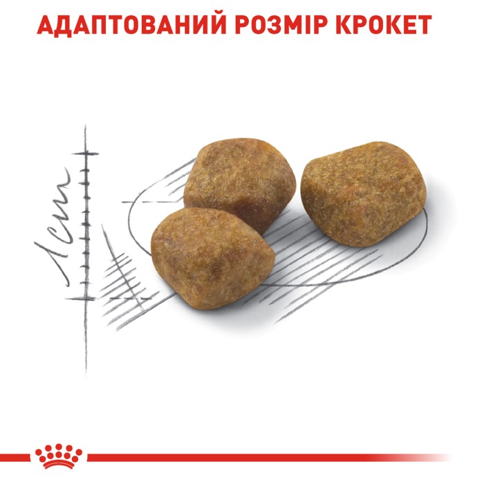 Корм для домашніх котів ROYAL CANIN INDOOR 7+ 3.5 кг