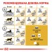 Корм для дорослих котів ROYAL CANIN SPHYNX ADULT 2.0 кг  - фото 7