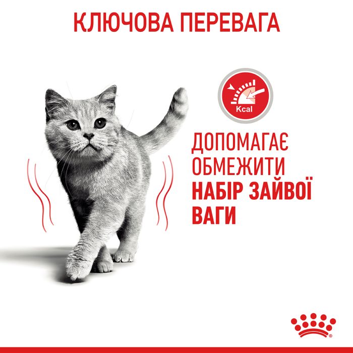 Вологий корм для дорослих котів ROYAL CANIN LIGHT WEIGHT CARE шматочки в соусі 85 г