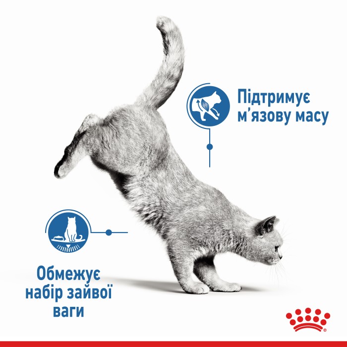 Влажный корм для взрослых кошек ROYAL CANIN LIGHT WEIGHT CARE кусочки в соусе 85 г