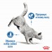 Влажный корм для взрослых кошек ROYAL CANIN LIGHT WEIGHT CARE кусочки в желе 85 г  - фото 15