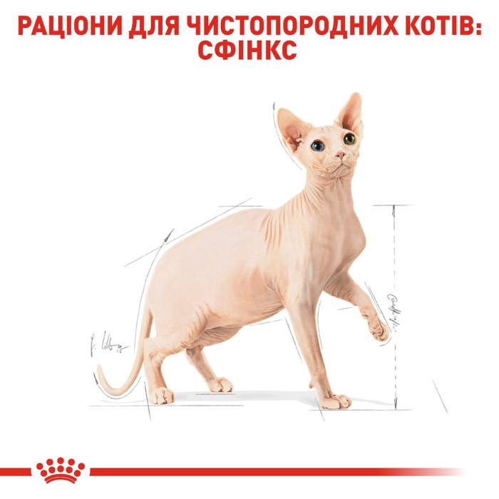 Корм для взрослых кошек ROYAL CANIN SPHYNX ADULT 10.0 кг