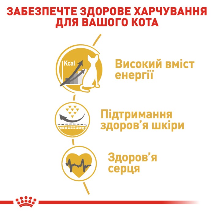 Корм для взрослых кошек ROYAL CANIN SPHYNX ADULT 10.0 кг