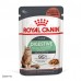 Влажный корм для взрослых кошек ROYAL CANIN DIGESTIVE в соусе 0.085 кг